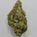 KC Brains MAC Mango <sup>®</sup> (Феминизированные)