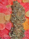 Fruitylicious (Феминизированные)