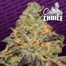 Paradise Seeds Blue Kush Berry (Феминизированные)