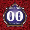 Purple Punch (Феминизированные)